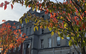 Mary Immaculate College Foundation Building with autumn leaves