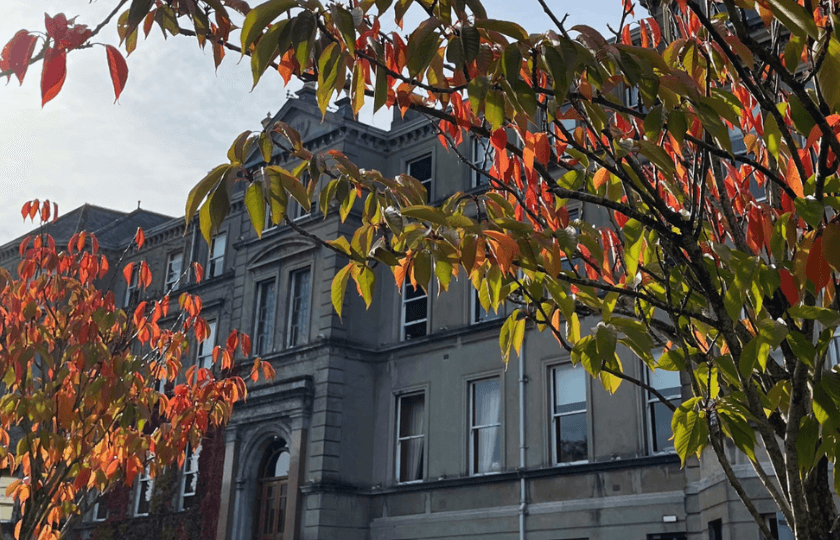 Mary Immaculate College Foundation Building with autumn leaves