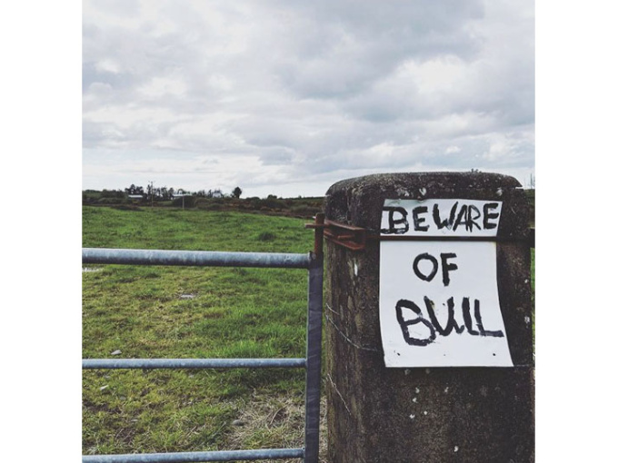 Beware of the Bull sign and a gate at the entrance to a field